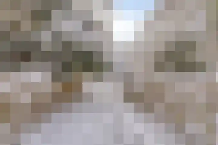 Leksmondhof 89 Amsterdam thumbnail 22