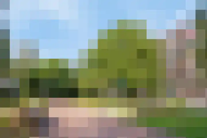 Leksmondhof 89 Amsterdam thumbnail 26