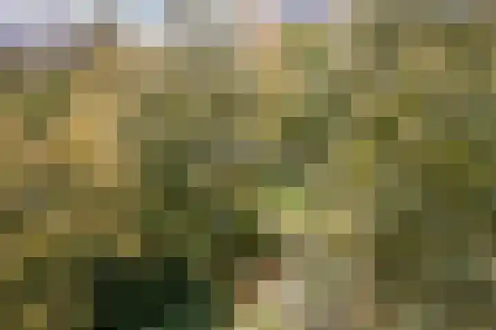Leksmondhof 91 Amsterdam thumbnail 10