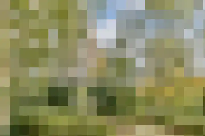 Leksmondhof 91 Amsterdam thumbnail 20