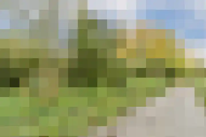 Leksmondhof 91 Amsterdam thumbnail 21