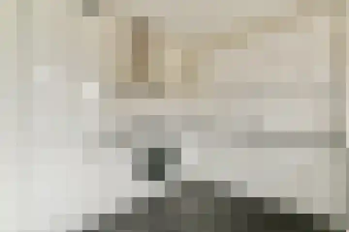 Leksmondhof 91 Amsterdam thumbnail 8
