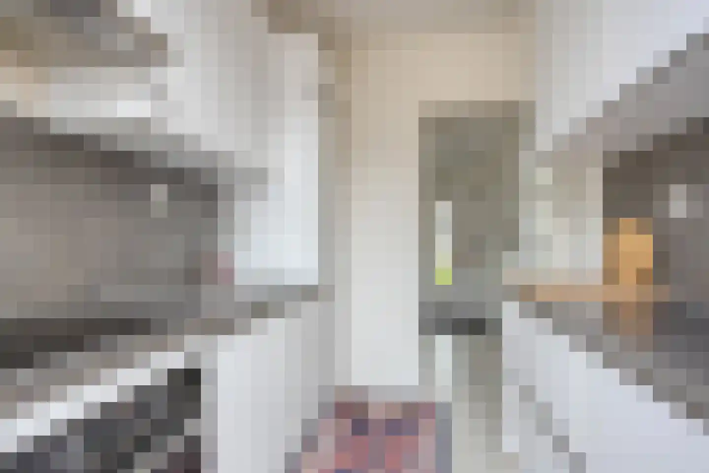Lekstraat 11 Beverwijk thumbnail 9