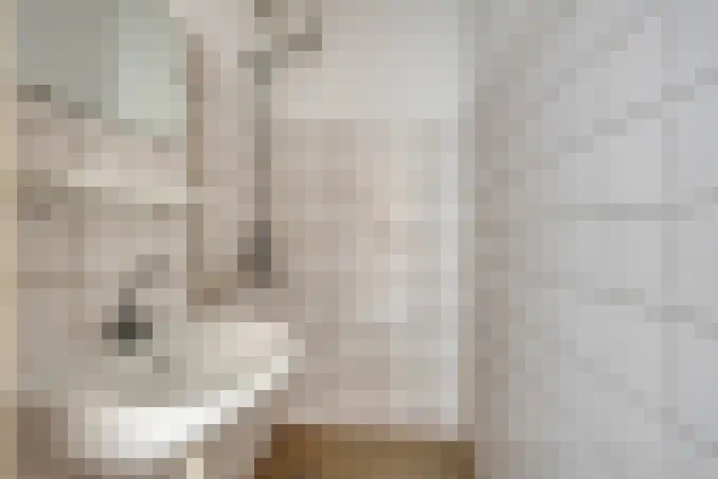 Lekstraat 11 Purmerend thumbnail 21