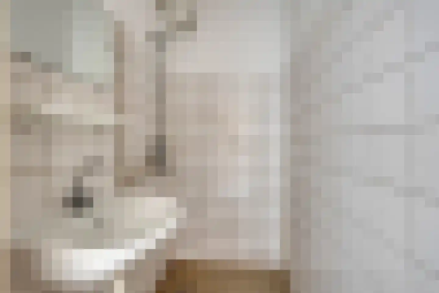 Lekstraat 11 Purmerend thumbnail 4