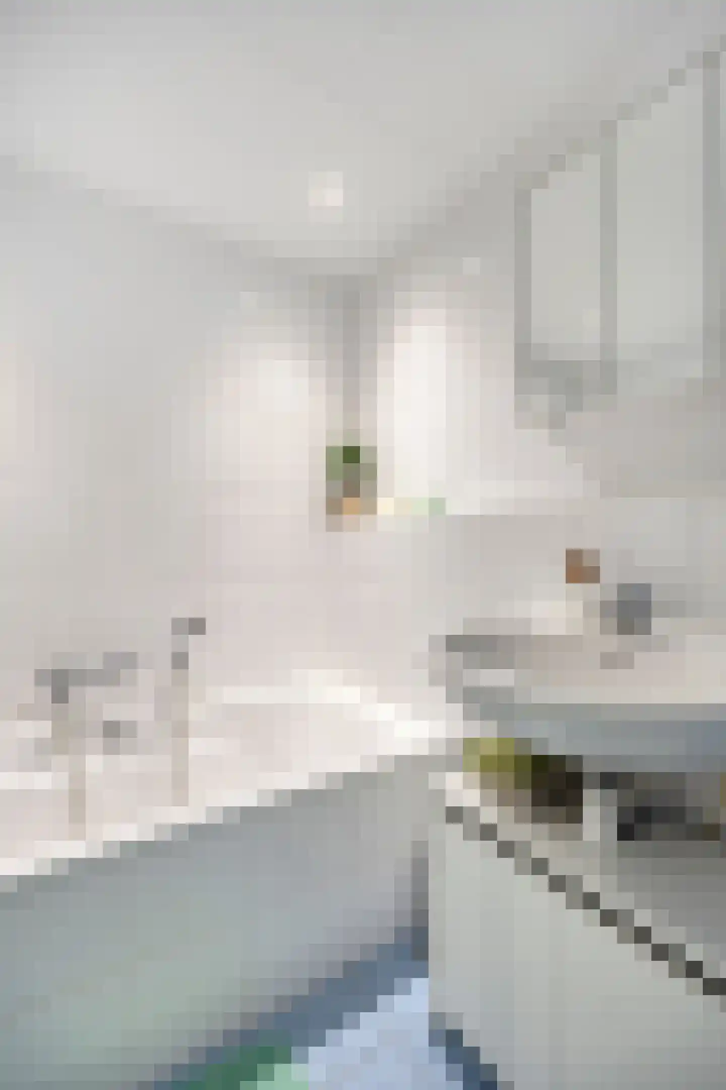 Lekstraat 11 Winschoten thumbnail 35