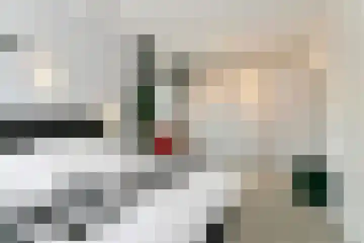 Lekstraat 11 Winterswijk thumbnail 21