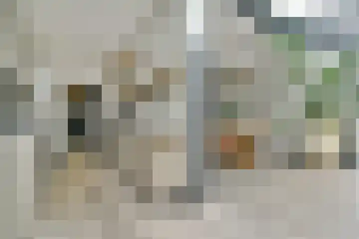 Lekstraat 116 Amsterdam thumbnail 6