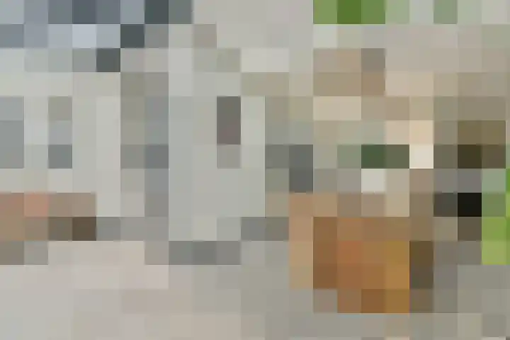 Lekstraat 116 Amsterdam thumbnail 7