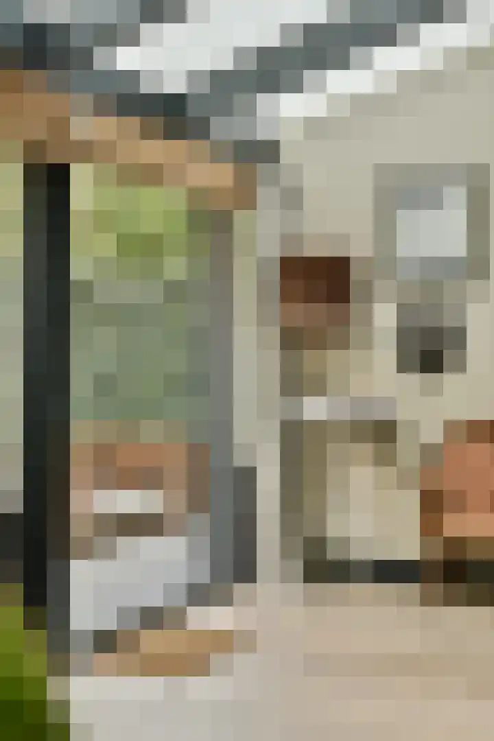 Lekstraat 116 Amsterdam thumbnail 8
