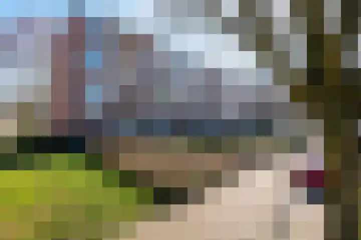Lekstraat 129 Apeldoorn thumbnail 23