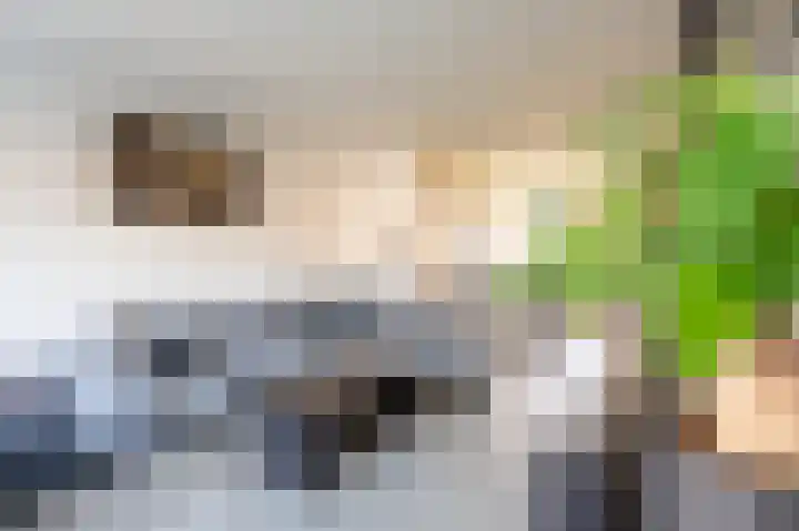 Lekstraat 129 Apeldoorn thumbnail 8