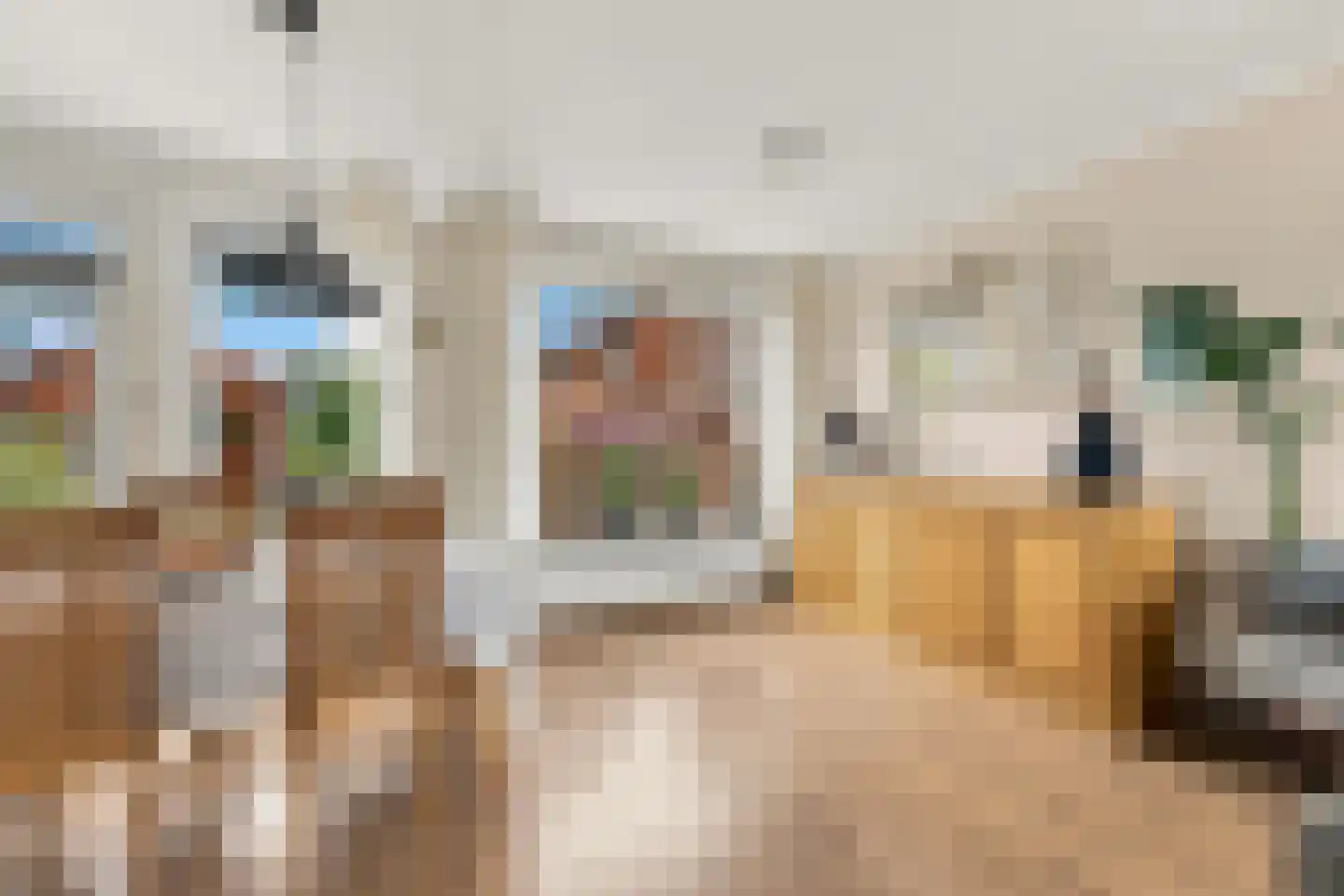 Lekstraat 13 Alblasserdam thumbnail 11