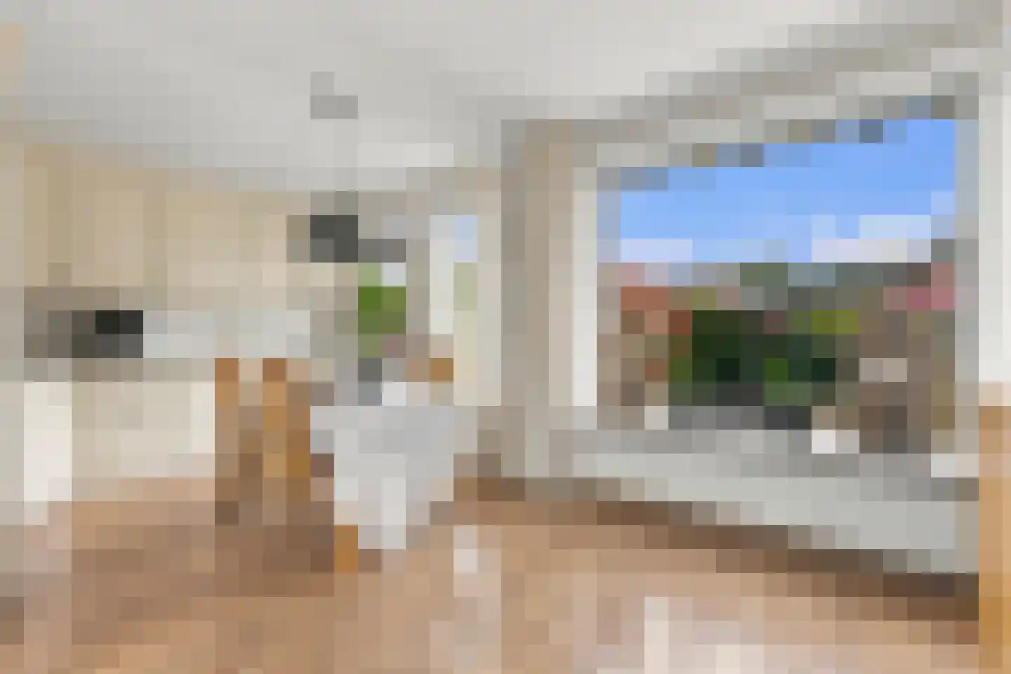 Lekstraat 13 Alblasserdam thumbnail 12