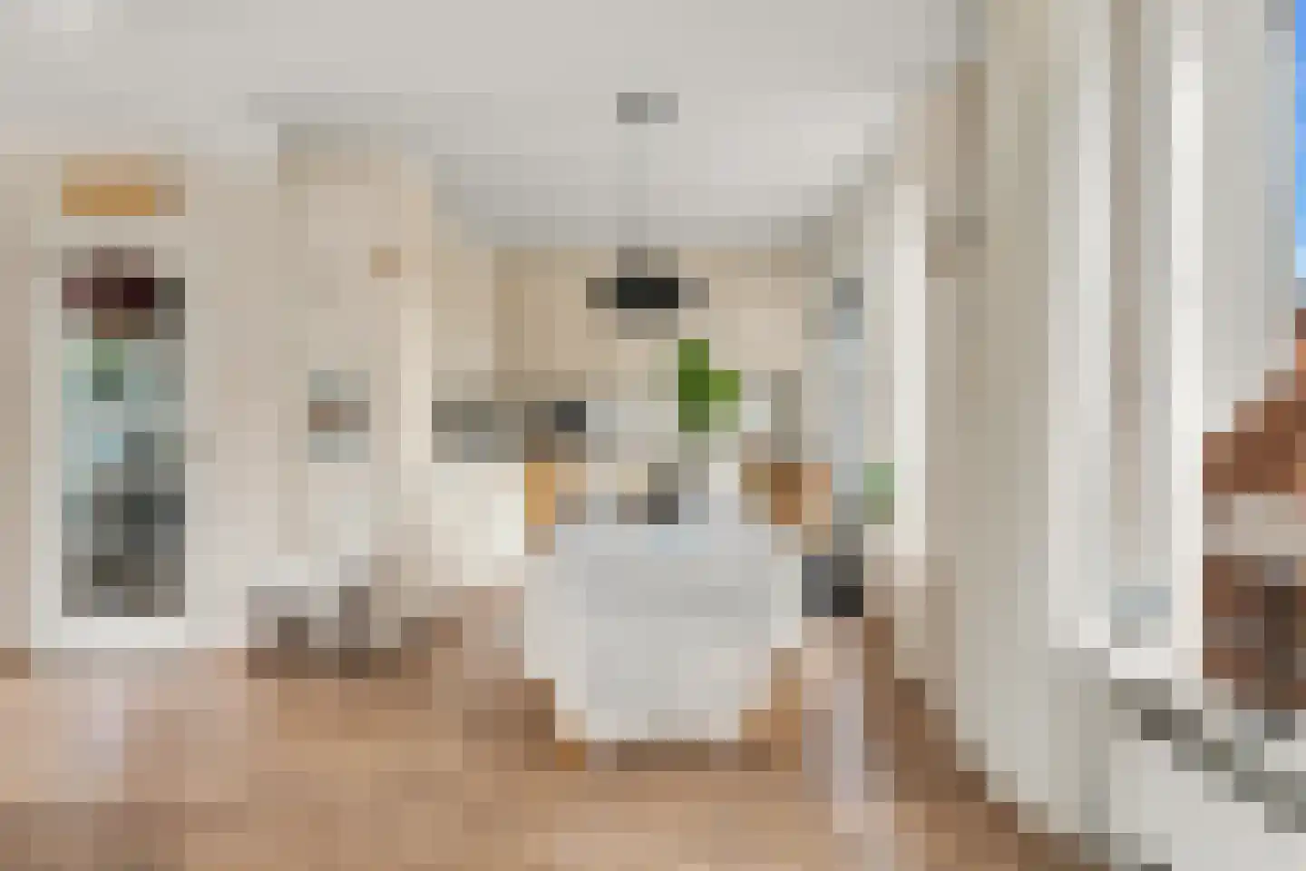 Lekstraat 13 Alblasserdam thumbnail 13