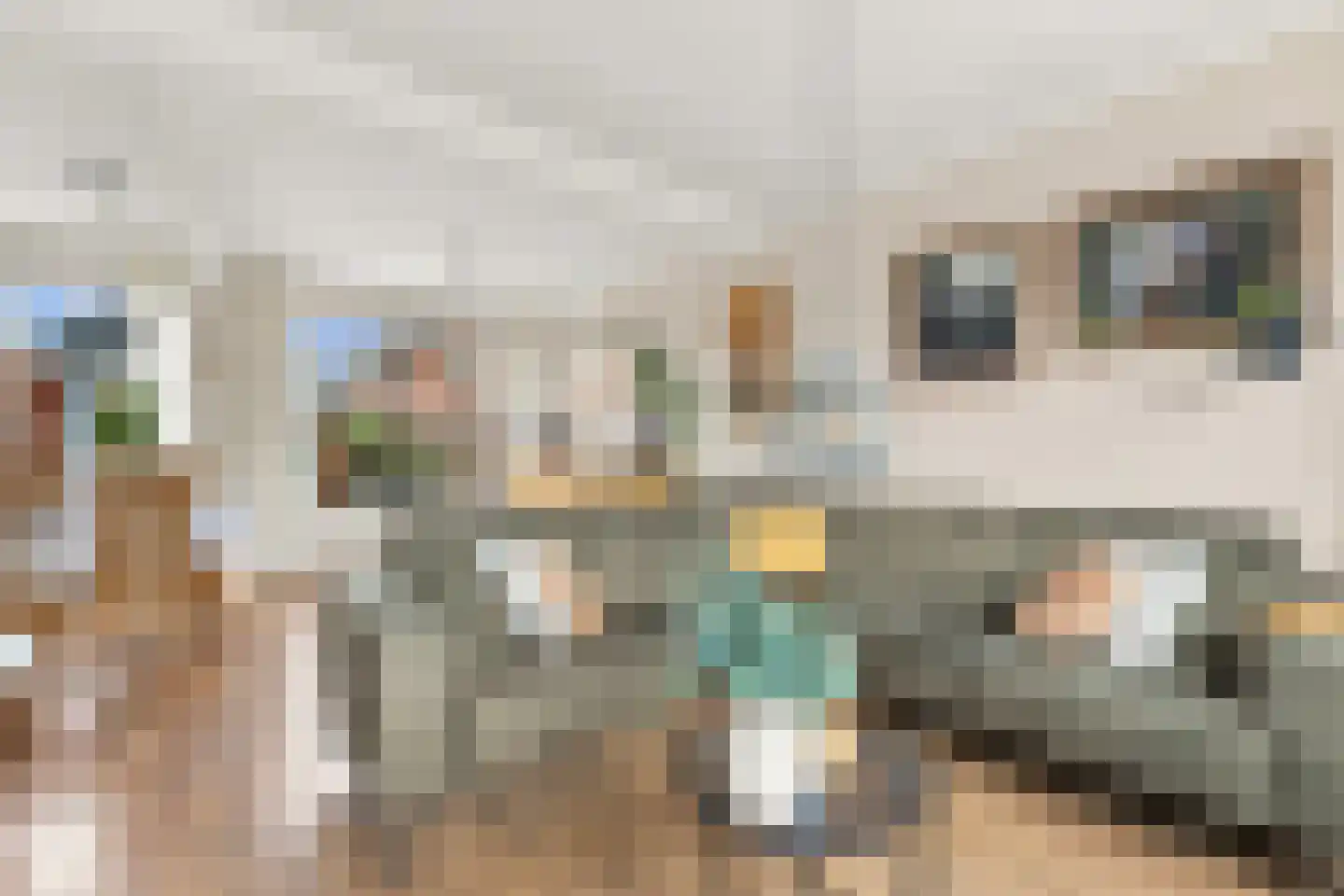 Lekstraat 13 Alblasserdam thumbnail 6