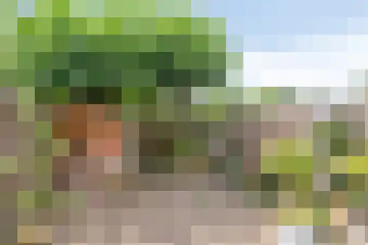 Lekstraat 14 Emmeloord thumbnail 27