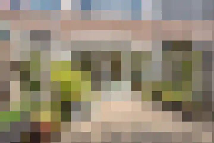 Lekstraat 14 Emmeloord thumbnail 28