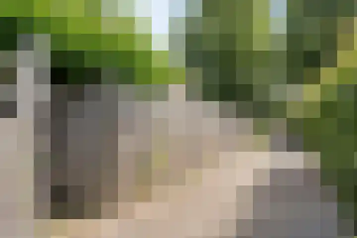 Lekstraat 14 Emmeloord thumbnail 30