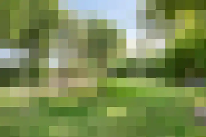 Lekstraat 14 Emmeloord thumbnail 32
