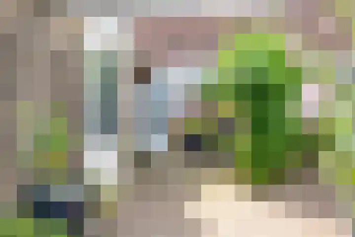 Lekstraat 14 Emmeloord thumbnail 4