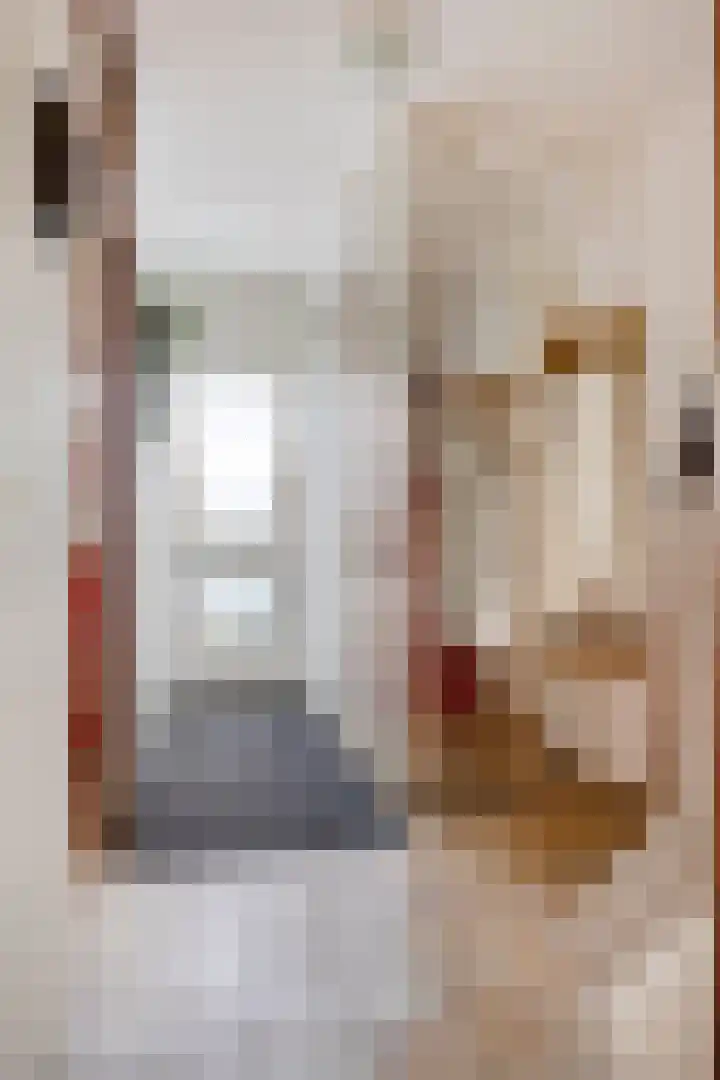 Lekstraat 14 Emmeloord thumbnail 5