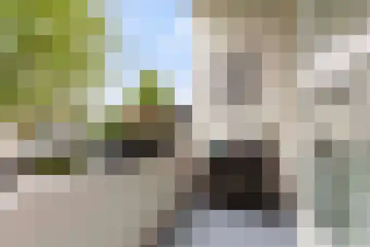 Lekstraat 145 Apeldoorn thumbnail 15