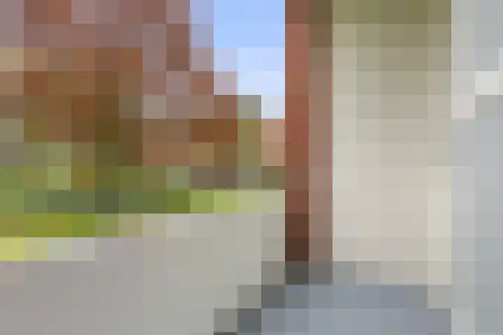 Lekstraat 145 Apeldoorn thumbnail 22