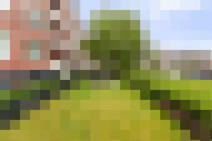 Lekstraat 145 Apeldoorn thumbnail 6
