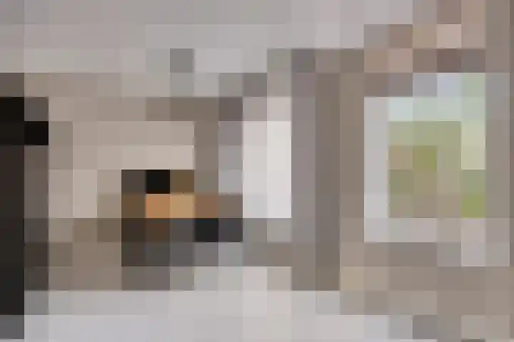 Lekstraat 15 Alblasserdam thumbnail 10