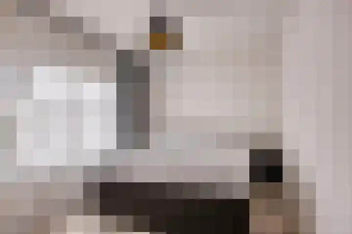 Lekstraat 15 Alblasserdam thumbnail 14