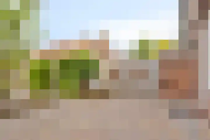 Lekstraat 15 Alblasserdam thumbnail 26