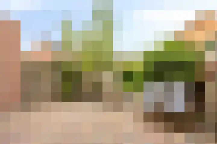 Lekstraat 15 Alblasserdam thumbnail 27
