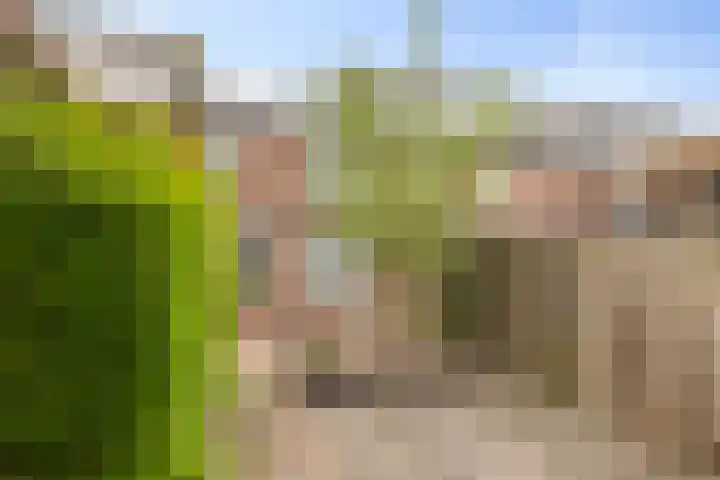 Lekstraat 15 Alblasserdam thumbnail 28
