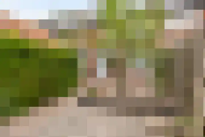 Lekstraat 15 Alblasserdam thumbnail 29
