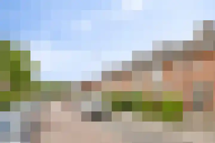 Lekstraat 15 Alblasserdam thumbnail 30