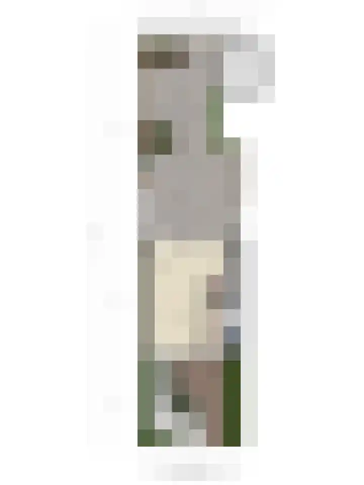 Lekstraat 15 Alblasserdam thumbnail 33
