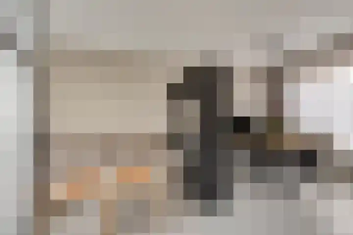 Lekstraat 15 Alblasserdam thumbnail 4