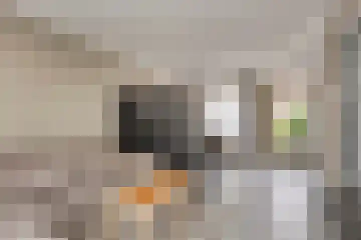 Lekstraat 15 Alblasserdam thumbnail 5