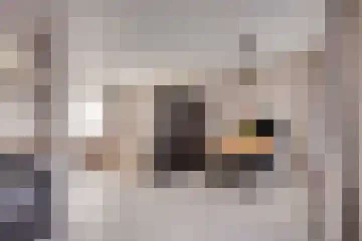 Lekstraat 15 Alblasserdam thumbnail 6