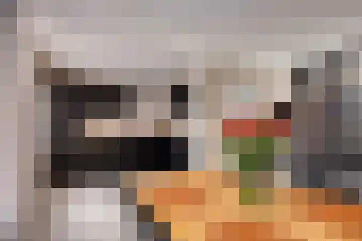 Lekstraat 15 Alblasserdam thumbnail 7