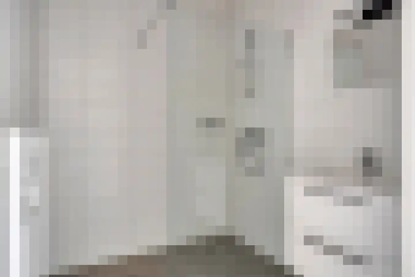 Lekstraat 157 's-Hertogenbosch thumbnail 12