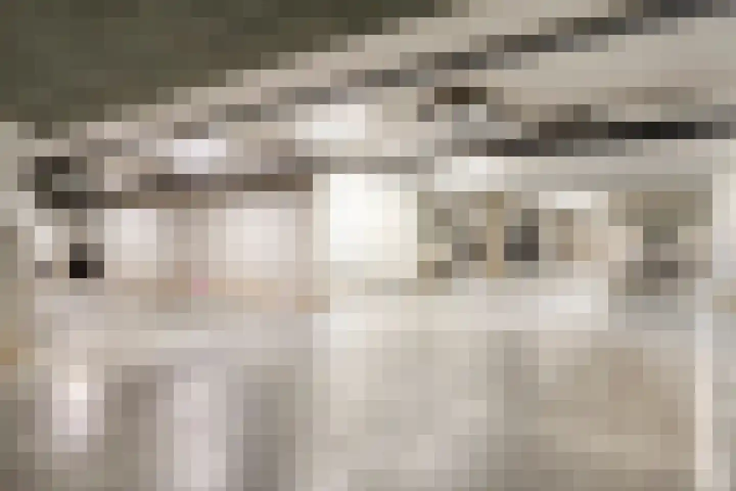 Lekstraat 157 's-Hertogenbosch thumbnail 17