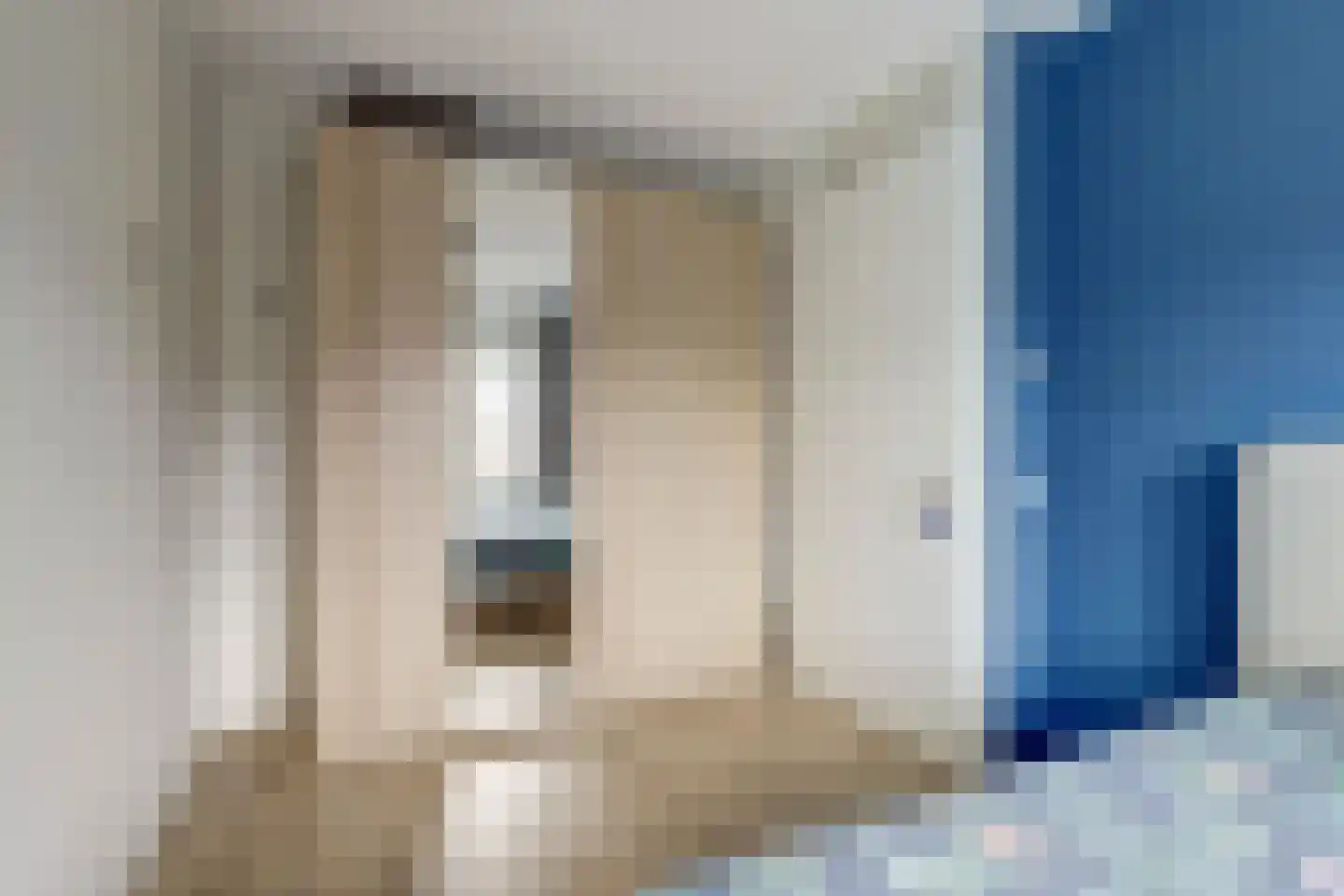Lekstraat 16 Hoef en Haag thumbnail 17