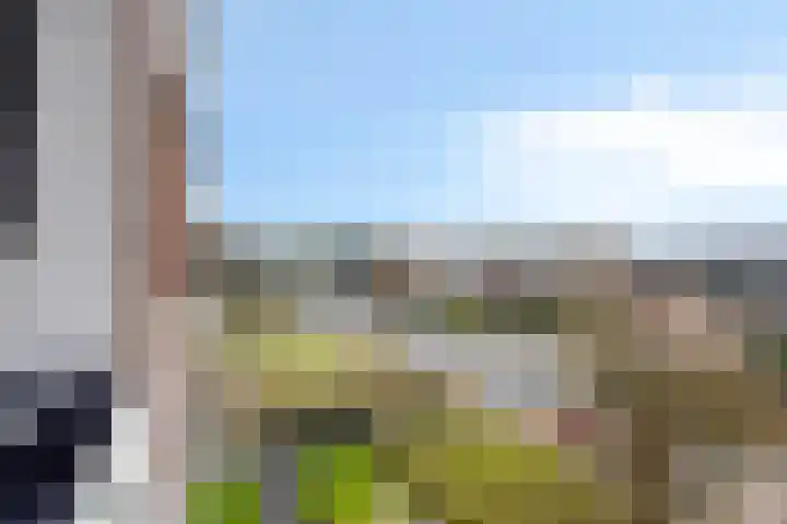 Lekstraat 171 Apeldoorn thumbnail 7