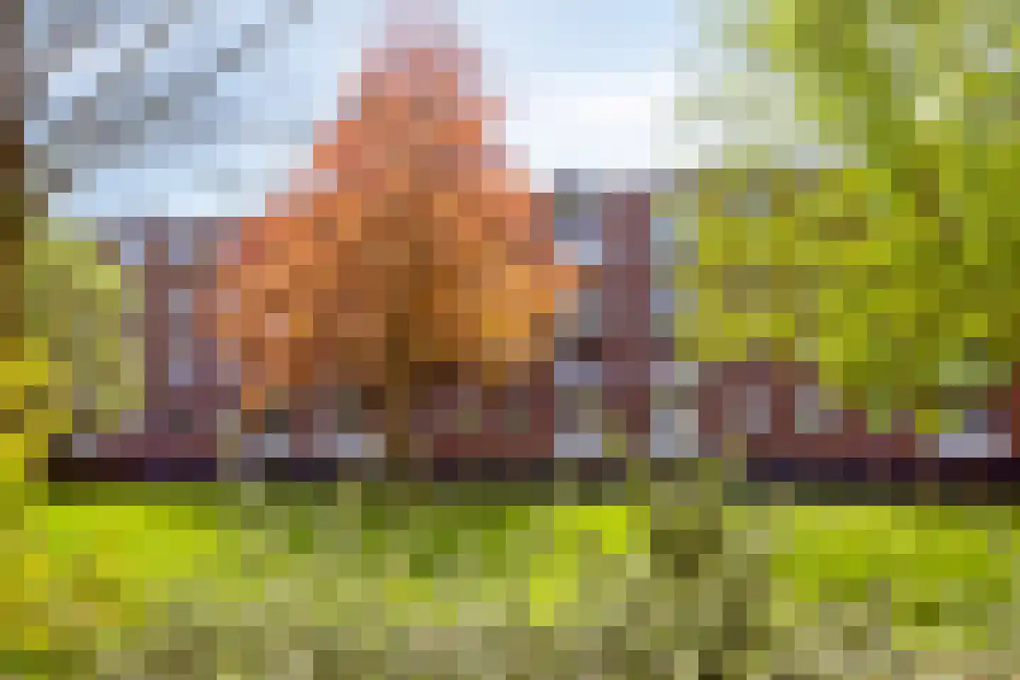 Lekstraat 175 Apeldoorn thumbnail 4
