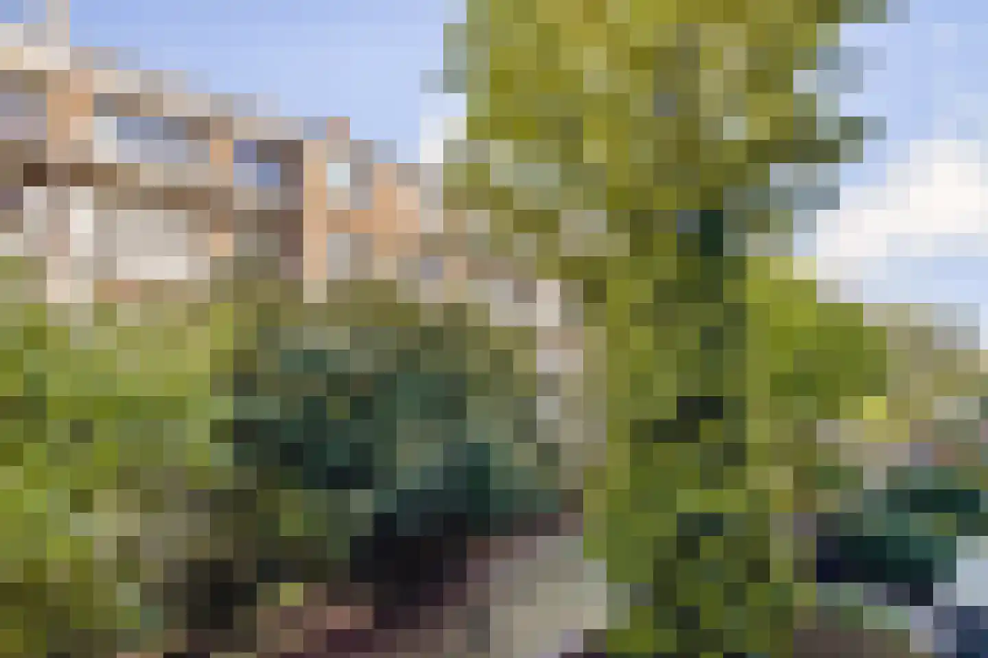 Lekstraat 178 2 Amsterdam thumbnail 17