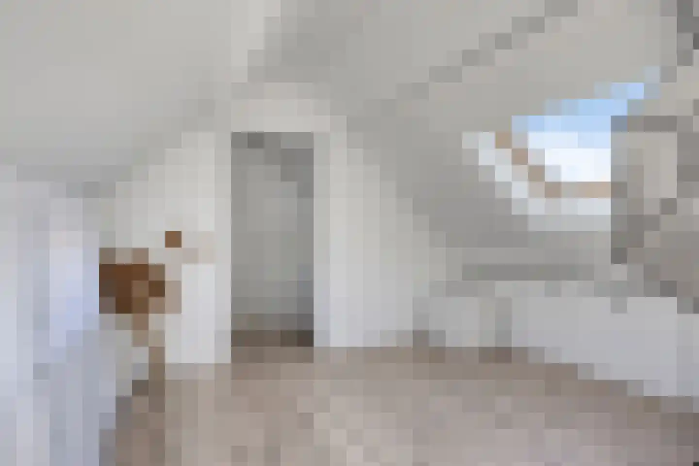 Lekstraat 2 Helmond thumbnail 30