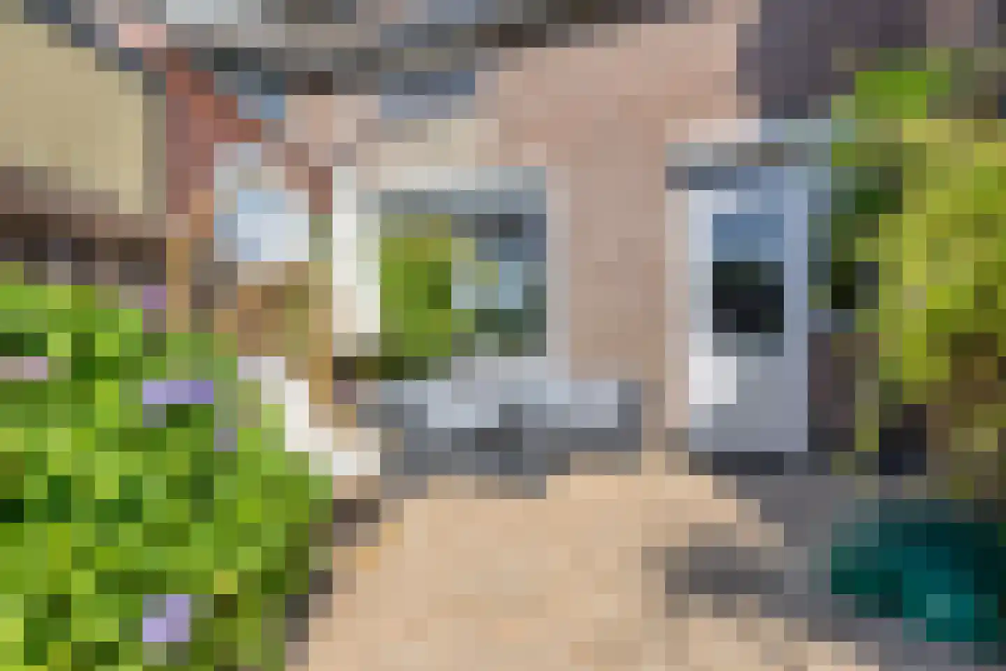 Lekstraat 2 Helmond thumbnail 4