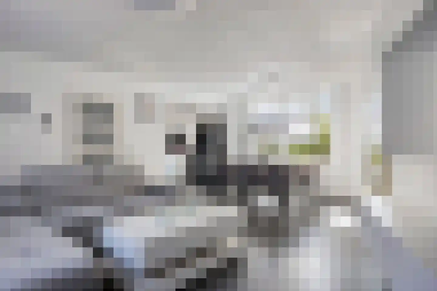 Lekstraat 2 Helmond thumbnail 8